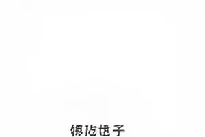 机场同框时间线条目封面，到达口的时间显示屏与行李转盘